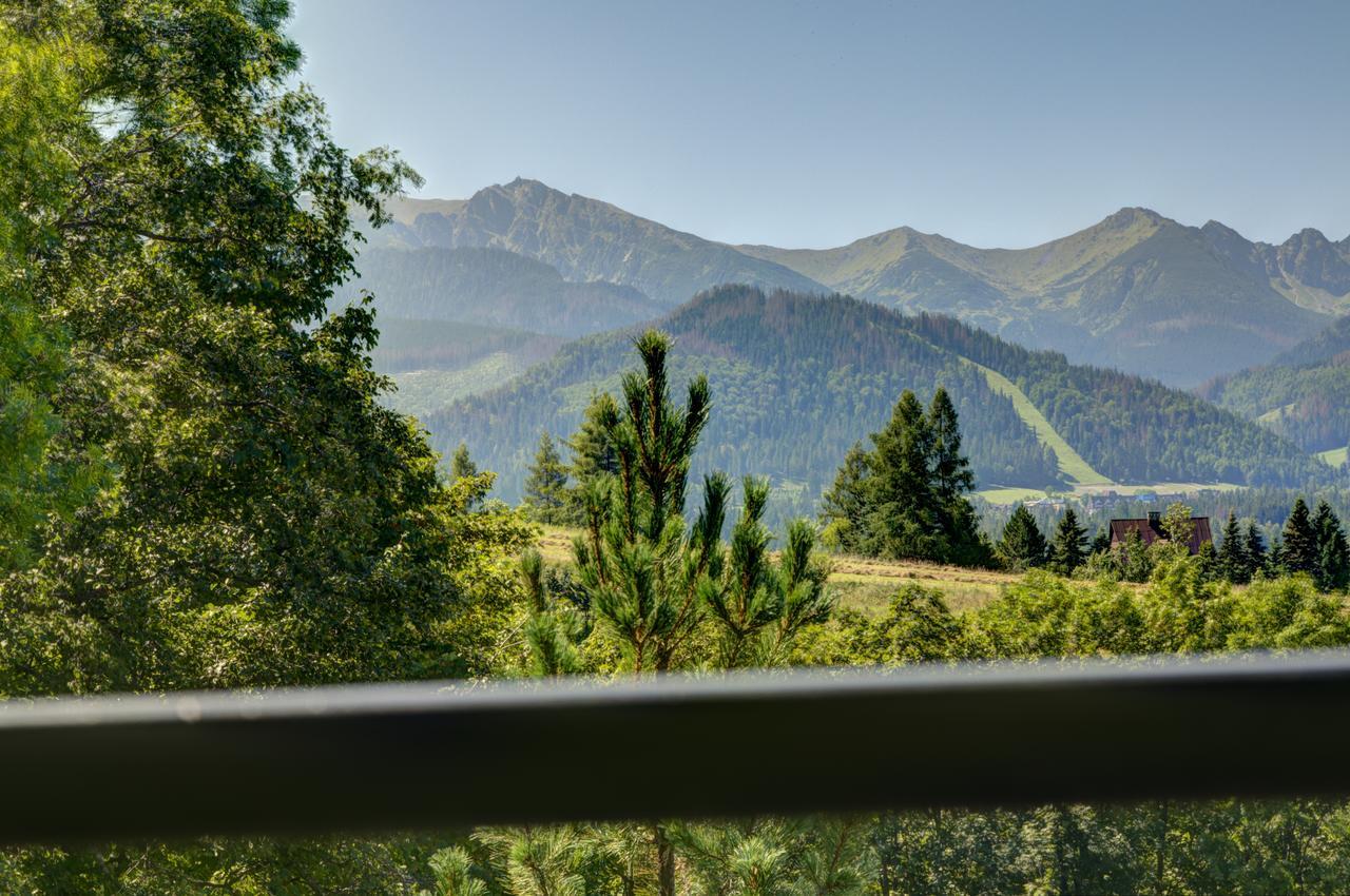 Apartamenty Willa Olsza Wood House & Mountain View & Sauna Zakopane Exterior photo